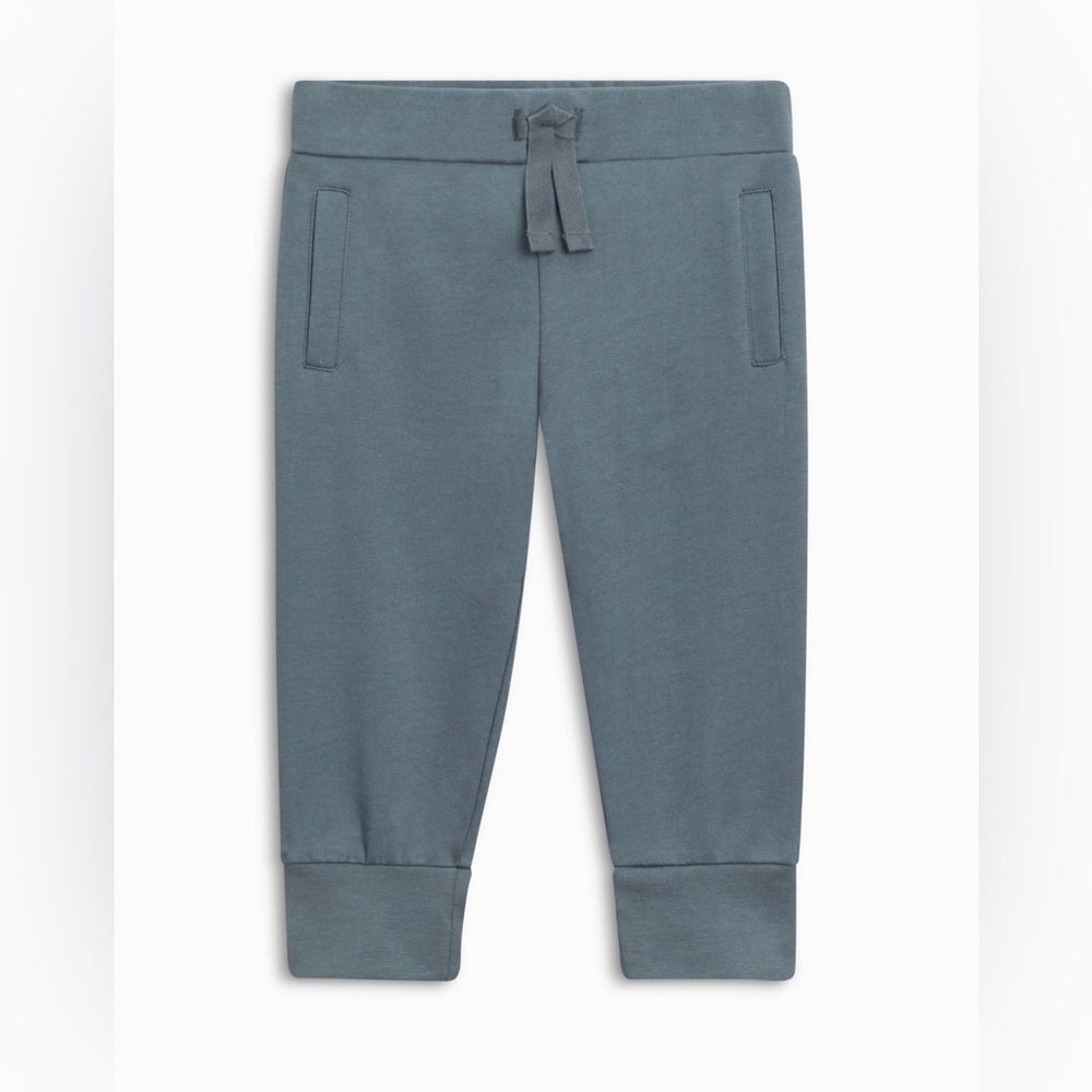Colored organics Arvin joggers in harbor blue